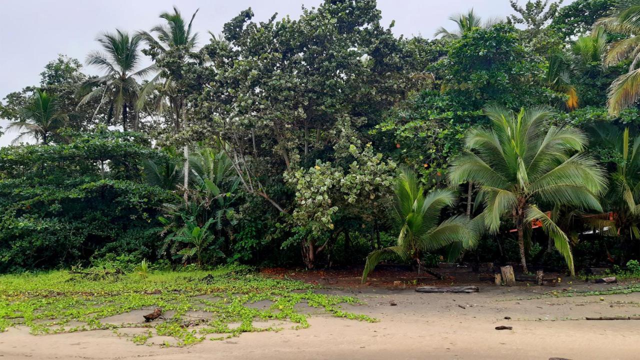 Lapalapa Beachfront Hotel Puerto Viejo de Talamanca Exterior photo